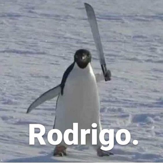 Rodrigo.